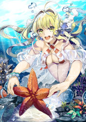 Rule 34 | bikini, blonde hair, blush, caster (nero claudius), fate/grand order, fate (series), highres, long hair, smile, starfish, swimsuit, twintails, underwater, yellow eyes