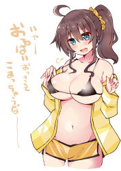 Rule 34 | 1girl, black bra, blue eyes, blush, bra, breasts, brown hair, cleavage, collarbone, highres, hololive, jacket, large breasts, long hair, long sleeves, looking at viewer, micro bra, natsuiro matsuri, navel, open clothes, open jacket, open mouth, ponytail, scrunchie, shorts, side ponytail, sirogane, smile, standing, striped clothes, striped jacket, teeth, underwear, virtual youtuber, white background, yellow jacket, yellow shorts