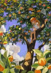 Rule 34 | 1girl, :o, absurdres, barefoot, blue eyes, butterfly net, cloud, day, food, fruit, gintama, hand net, highres, in tree, kagura (gintama), leaf, low twintails, open mouth, orange (fruit), outdoors, shorts, sitting, sitting in tree, sky, solo, tank top, tree, twintails, white tank top, yuhuan