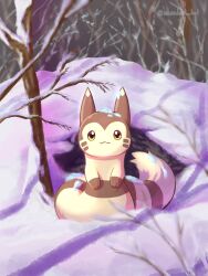 Rule 34 | absurdres, animal focus, artist name, branch, brown eyes, brown fur, commentary request, creatures (company), furret, game freak, gen 2 pokemon, highres, looking at viewer, nanahoshi (wadorigi), nintendo, no humans, outdoors, pokemon, pokemon (creature), snow, solo, tail, two-tone fur, white fur