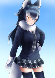 Rule 34 | 1girl, animal ear fluff, animal ears, august vaella, black hair, blue eyes, breast pocket, breasts, commentary, commentary request, fur collar, gloves, gradient background, grey wolf (kemono friends), heterochromia, highres, kemono friends, large breasts, looking at viewer, multicolored hair, necktie, plaid necktie, plaid neckwear, pocket, solo, tail, two-tone hair, white gloves, white hair, wolf ears, wolf girl, wolf tail, yellow eyes