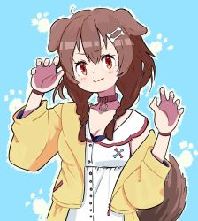 Rule 34 | 1girl, animal ears, blush, bone hair ornament, braid, breasts, brown hair, claw pose, cleavage, closed mouth, collar, commentary, dog ears, dog girl, dog tail, donkoni, dress, hair ornament, highres, hololive, inugami korone, inugami korone (1st costume), jacket, blue background, looking at viewer, medium breasts, medium hair, off shoulder, paw print, paw print background, red collar, red eyes, side braids, simple background, sleeveless, sleeveless dress, solo, tail, twin braids, upper body, virtual youtuber, white dress, wristband, yellow jacket