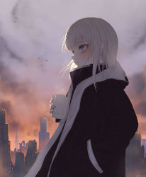 Rule 34 | 1girl, absurdres, alternate costume, alternate hairstyle, artist name, backlighting, bad id, bad pixiv id, bird, black jacket, blue eyes, blush, building, city, cityscape, closed mouth, cloud, cloudy sky, commentary request, cup, from side, hand in pocket, high collar, highres, holding, holding cup, hood, hood down, jacket, kagura gumi, kagura mea, long hair, long sleeves, looking away, looking to the side, morning, multicolored clothes, multicolored jacket, outdoors, profile, shiroki tyuki, signature, silver hair, sky, solo, steam, straight hair, two-tone jacket, upper body, virtual youtuber, zipper