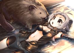 Rule 34 | 10s, 1girl, :o, american beaver (kemono friends), animal, animal ears, antenna hair, bare shoulders, beaver, beaver ears, beaver tail, bike shorts, bikini, bikini top only, black bra, bra, breasts, buck teeth, chestnut mouth, cleavage, elbow gloves, fur collar, gloves, grey eyes, grey hair, hair ornament, hairclip, indoors, jacket, kaida michi, kemono friends, looking at another, lying, medium breasts, midriff, navel, on back, on floor, open clothes, open mouth, partially submerged, shorts, sleeveless, solid circle eyes, swimsuit, tail, tareme, teeth, torn clothes, underwear, water, wooden floor, wooden wall