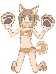 Rule 34 | + +, 1girl, :d, animal ears, animal hands, bare arms, bare legs, bare shoulders, bra, brown eyes, cleavage cutout, clothing cutout, colored inner hair, commentary, dog ears, dog tail, fang, flat chest, full body, gloves, green eyes, hair intakes, hands up, highres, kneeling, looking at viewer, multicolored hair, navel, oka asahi, onii-chan wa oshimai!, open mouth, orange bra, orange hair, orange panties, panties, parted bangs, paw gloves, paw shoes, rundraw, simple background, smile, solo, stomach, symbol-only commentary, tail, two-tone hair, two side up, underwear, white background