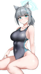 Rule 34 | 1girl, absurdres, animal ear fluff, animal ears, aqua eyes, blue archive, blue halo, breasts, closed mouth, collarbone, commentary request, competition swimsuit, covered navel, grey hair, halo, highres, large breasts, looking at viewer, official alternate costume, ojisan f, one-piece swimsuit, ponytail, shiroko (blue archive), shiroko (swimsuit) (blue archive), short hair, simple background, sitting, solo, swimsuit, thighs, white background