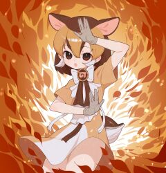 Rule 34 | 1girl, animal ears, bow, bowtie, brown dress, brown eyes, brown hair, chevrotain (kemono friends), dress, extra ears, gloves, highres, japari symbol, kemono friends, looking at viewer, multicolored hair, notora, open mouth, ribbon, short hair, simple background, solo, tail, two-tone hair, white hair