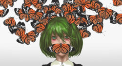 Rule 34 | 1girl, antennae, bug, butterfly, cmy, covering own mouth, eyebrows, eyelashes, eyeliner, green eyes, green hair, grey background, insect, looking at viewer, makeup, matching hair/eyes, monarch butterfly, neck, short hair, simple background, solo, touhou, wriggle nightbug