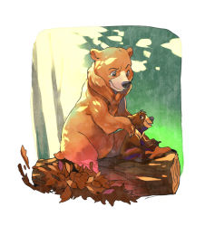 Rule 34 | animal, bear, brother bear, brothers, disney, framed, green background, in tree, leaf, looking at another, looking up, nature, siblings, simple background, sitting, sitting in tree, smile, sunlight, tail, tree, u-min
