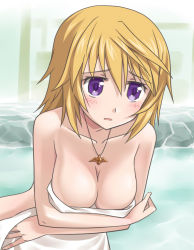 Rule 34 | 10s, 1girl, bad id, bad pixiv id, blonde hair, breasts, charlotte dunois, cleavage, infinite stratos, jewelry, medium breasts, necklace, purple eyes, shimamura miwa, solo, towel