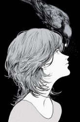 Rule 34 | 0akaru, 1other, androgynous, animal, animal on head, beads, beak hold, bird, bird on head, closed mouth, crow, eye contact, greyscale, highres, looking at animal, looking at another, looking down, looking up, monochrome, mouth hold, on head, original, portrait, short hair, simple background
