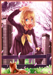 Rule 34 | 1girl, bag, blonde hair, blue eyes, bow, bread slice, car, cherry blossoms, curry bowl, food, food in mouth, hair bow, hair ornament, hairclip, kagamine rin, motor vehicle, mouth hold, pantyhose, petals, school bag, school uniform, serafuku, short hair, solo, toast, toast in mouth, vehicle, vocaloid