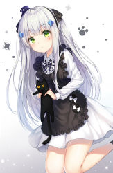 Rule 34 | 1girl, :&lt;, absurdres, animal, apron, bare legs, black apron, black cat, blush, carrying, cat, closed mouth, cross hair ornament, dangmyo, dress, facial mark, frilled apron, frills, girls&#039; frontline, gradient background, green eyes, hair ornament, hairband, half updo, hat, highres, hk416 (black kitty&#039;s gift) (girls&#039; frontline), hk416 (girls&#039; frontline), legs up, long hair, long sleeves, looking at viewer, mini hat, official alternate costume, sidelocks, silver hair, socks, solo, thighs, tilted headwear, very long hair, white dress