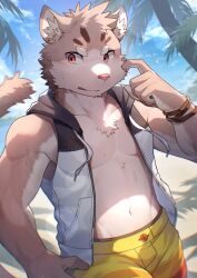 Rule 34 | 1boy, animal ears, beach, blue sky, cat boy, cat ears, cat tail, cloud, cloudy sky, commentary request, furry, furry male, highres, hood, hooded jacket, jacket, looking to the side, male focus, palm tree, ponzu tas, sand, scratching cheek, shorts, sitri (housamo), sky, sleeveless, sleeveless jacket, tail, tokyo houkago summoners, tree, yellow shorts