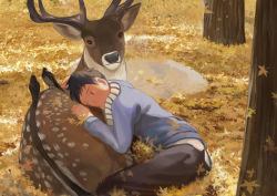 Rule 34 | 1boy, :|, animal, autumn, autumn leaves, bad id, bad pixiv id, bird, black hair, closed mouth, deer, jacket, lying, male focus, nature, original, outdoors, pants, puddle, solo, tate horan, tree, water