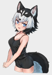 Rule 34 | animal ear fluff, animal ears, black hair, black shorts, blue eyes, blush, breasts, cleavage, collarbone, dog ears, dog girl, dog tail, fang, fictional persona, grey background, looking at viewer, medium breasts, multicolored hair, nyifu, open mouth, original, short hair, shorts, simple background, smile, solo, tail, tank top, two-tone hair, white hair