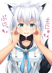 Rule 34 | 1girl, absurdres, ahoge, animal ear fluff, animal ears, aqua eyes, blush, braid, breasts, cheek pinching, fox ears, fox girl, fox tail, hair between eyes, highres, hololive, long hair, looking at viewer, open mouth, out of frame, pinching, shirakami fubuki, shirakami fubuki (1st costume), silver hair, simple background, small breasts, solo focus, starkamisan, tagme, tail, upper body, virtual youtuber, white background
