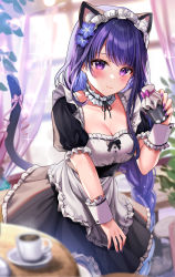 Rule 34 | 1girl, absurdres, animal ears, apron, black dress, blush, bottle, braid, breasts, cat ears, cat tail, cleavage, coffee mug, cup, detached collar, dress, frilled apron, frilled dress, frills, genshin impact, highres, large breasts, leaning forward, looking at viewer, low-braided long hair, low-tied long hair, maid, maid headdress, milk bottle, mole, mole under eye, mug, nail polish, puffy short sleeves, puffy sleeves, purple hair, purple nails, raiden shogun, short sleeves, smile, solo, tail, user nwcr8725, wrist cuffs
