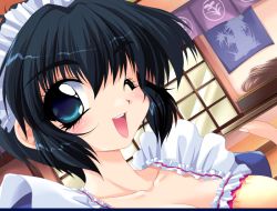 Rule 34 | 1girl, black hair, blue eyes, blush, daikokuya kyouko, downhill night, emily (pure dream), game cg, maid, maid headdress, top (company), wink