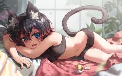 Rule 34 | 1girl, animal ear fluff, animal ears, bare arms, bare shoulders, bike shorts, black bra, black eyes, black hair, black shorts, blanket, blue eyes, bra, breasts, cat ears, cat girl, cat tail, commission, facial mark, heterochromia, highres, looking at viewer, lying, medium breasts, melaton, midriff, multicolored hair, navel, on stomach, open mouth, original, short hair, short shorts, shorts, skeb commission, slit pupils, solo, stomach, streaked hair, tail, thighs, underwear, underwear only