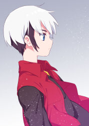 Rule 34 | 1boy, black hair, black shirt, blue eyes, closed mouth, commentary request, eugene chaud (mega man), from side, grey background, grey eyes, highres, jacket, kusumoto shizuru, male focus, mega man (series), mega man battle network (series), multicolored hair, open clothes, open jacket, profile, red jacket, shirt, sleeveless, sleeveless jacket, solo, thick eyebrows, two-tone hair, upper body