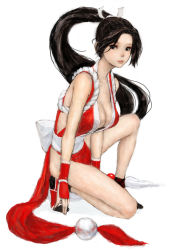 Rule 34 | 1girl, bad id, bad pixiv id, black eyes, black hair, breasts, cleavage, fatal fury, kneeling, large breasts, legs, long hair, on one knee, pelvic curtain, ponsuke (pon00000), ponytail, revealing clothes, rope, shiranui mai, simple background, snk, solo, squatting, the king of fighters