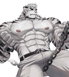 Rule 34 | !, 1boy, abs, absurdres, adkt, animal ears, arknights, bara, belt, black belt, brass knuckles, bulge, chain, clenched hands, commentary, english commentary, furry, furry male, highres, holding, holding weapon, male focus, mountain (arknights), muscular, muscular male, navel, nipples, pants, pectorals, scar, scar on arm, scar on hand, scar on shoulder, sweatdrop, tail, tiger boy, tiger ears, tiger stripes, topless male, weapon, white background, white pants