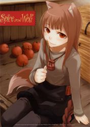 Rule 34 | 00s, absurdres, animal ears, apple, ayakura juu, brown hair, food, fruit, highres, holo, long hair, red eyes, solo, spice and wolf, tail, wheat, wolf ears, wolf tail