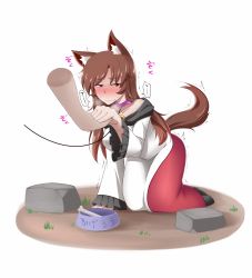 Rule 34 | 1girl, all fours, animal ears, blush, bone, bowl, breasts, brooch, brown hair, collar, dress, fang, imaizumi kagerou, jewelry, leash, long hair, long sleeves, pet play, red eyes, rinmei, solo, tail, touhou, wolf ears, wolf tail