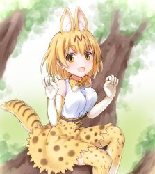 Rule 34 | 10s, 1girl, animal ears, animal print, bare shoulders, blonde hair, blush, bow, bowtie, breasts, cat ears, cat tail, elbow gloves, faubynet, gloves, highres, in tree, kemono friends, looking at viewer, md5 mismatch, medium breasts, open mouth, resolution mismatch, serval (kemono friends), serval print, serval tail, shirt, short hair, sitting, sitting in tree, skirt, sleeveless, sleeveless shirt, solo, source larger, tail, thighhighs, tree, white shirt, yellow eyes