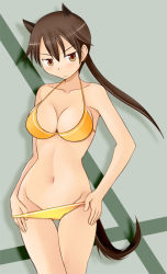 Rule 34 | 1girl, angela salas larrazabal, animal ears, bikini, breasts, brown eyes, brown hair, cleavage, clothes pull, curvy, dog ears, horse girl, large breasts, long hair, navel, one-piece swimsuit pull, ponytail, solo, strike witches, strike witches: kurenai no majo-tachi, swimsuit, tail, tanaka rikimaru, thigh gap, thighs, world witches series, yellow bikini
