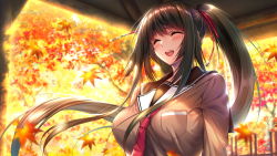 Rule 34 | 1girl, amakano 2, azarashi soft, black hair, blush, breasts, closed eyes, falling leaves, female focus, game cg, happy, high ponytail, highres, kurohime yuuhi, large breasts, leaf, leaves, light blush, long hair, necktie, open mouth, outdoors, piromizu, red necktie, school uniform, smile, solo, standing, upper body