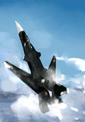 Rule 34 | aircraft, airplane, canards, cloud, cobra maneuver, day, fighter jet, flying, gradient background, jet, keisan, military, military vehicle, no humans, original, pilot, realistic, russian text, sky, smoke, solo, star (symbol), su-47, su-47 berkut, vehicle focus