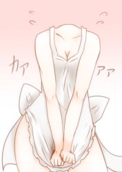 Rule 34 | 1girl, apron, breasts, cleavage, collarbone, covering privates, covering crotch, flying sweatdrops, gradient background, headless, naked apron, sekibanki, solo, takorice, touhou, translated, v arms