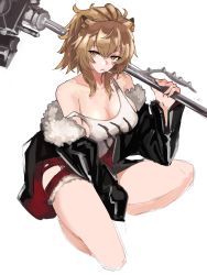 Rule 34 | 1girl, animal ears, arknights, bare shoulders, black jacket, breasts, brown eyes, brown hair, cleavage, commentary, fur-trimmed jacket, fur trim, highres, holding, holding weapon, jacket, jonyeld, lion ears, long sleeves, looking at viewer, medium breasts, mouth hold, off shoulder, open clothes, open jacket, over shoulder, red shorts, short hair, short shorts, shorts, siege (arknights), simple background, solo, strap slip, tank top, thighs, weapon, weapon over shoulder, white background, white tank top