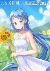 Rule 34 | 1girl, alternate costume, aomi one, blue choker, blue eyes, blue hair, blue sky, breasts, choker, cloud, collarbone, cowboy shot, dated, dress, field, flower, flower field, forehead, highres, jewelry, kantai collection, long hair, looking at viewer, mountain, necklace, outdoors, samidare (kancolle), sky, sleeveless, sleeveless dress, small breasts, solo, sundress, sunflower, sunflower field, swept bangs, very long hair, white dress