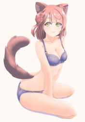 Rule 34 | 1girl, animal ears, ass, blue bra, blue panties, bob cut, bra, breasts, brown hair, butt crack, cat ears, cat tail, cleavage, closed mouth, commentary request, from side, hair bun, highres, jou (circlemay), kemonomimi mode, kneeling, looking at viewer, love live!, love live! nijigasaki high school idol club, medium breasts, medium hair, panties, simple background, single side bun, sitting, smile, solo, tail, uehara ayumu, underwear, underwear only, white background, yellow eyes
