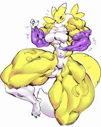 Rule 34 | 1girl, artist request, blue eyes, breasts, digimon, digimon (creature), extreme muscles, female focus, fingerless gloves, full body, furry, furry female, gloves, highres, muscular, renamon, simple background, solo, tagme, white background