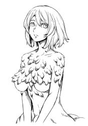 Rule 34 | 1girl, breasts, dungeon meshi, falin touden, feathers, monochrome, monster girl, short hair, solo, underboob