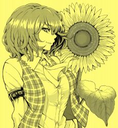 Rule 34 | 1girl, ascot, collared shirt, commentary request, flower, highres, kazami yuuka, leaf, long sleeves, looking at viewer, monochrome, natsushiro, plaid, plaid vest, profile, shirt, short hair, simple background, solo, sunflower, touhou, upper body, vest, yellow theme