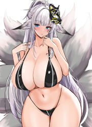 Rule 34 | 1girl, animal ears, bare arms, bare shoulders, bikini, black bikini, blue eyes, blunt bangs, blush, breasts, character request, copyright request, cowboy shot, facial mark, fox ears, fox tail, grey hair, highleg, highleg bikini, highres, huge breasts, kitsune, kyuubi, long hair, looking at viewer, multiple tails, navel, ponytail, sayashi (type5 labyrith), simple background, solo, swimsuit, tail, very long hair, white background, wide hips, zipper bikini