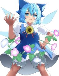 Rule 34 | 1girl, absurdres, blue bow, blue dress, blue eyes, blue hair, bow, cirno, commentary, dress, flower, hair bow, hand on own hip, highres, looking at viewer, mikan (manmarumikan), parted lips, pink flower, shirt, short hair, short sleeves, simple background, solo, sunflower, touhou, white background, white shirt, yellow flower
