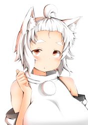 Rule 34 | 1girl, :o, animal ears, blush, breasts, detached sleeves, forehead, hair tie, hair up, highres, inubashiri momiji, large breasts, looking at viewer, no bangs, parted lips, pom pom (clothes), red eyes, shishi juuroku, short hair, solo, thick eyebrows, thumbs up, topknot, touhou, turtleneck, white hair, wolf ears