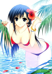 Rule 34 | 1girl, absurdres, bikini, bracelet, breasts, cleavage, flower, hair flower, hair ornament, hibiscus, highres, jewelry, large breasts, nail polish, non-web source, ocean, petals, red bikini, red nails, solo, suzuhira hiro, swimsuit, water