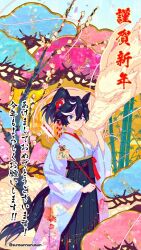 Rule 34 | 1girl, alternate costume, animal ears, arrow (projectile), bamboo, black hair, black hakama, blue eyes, breasts, chinese zodiac, closed mouth, crossed bangs, dragon horns, ema, feet out of frame, hair ornament, hakama, hamaya, happy new year, high-waist skirt, holding, holding arrow, horns, horse ears, horse girl, horse tail, japanese clothes, katsuragi ace (umamusume), kimono, long sleeves, looking at viewer, multicolored hair, new year, ponytail, signature, skirt, small breasts, smile, solo, standing, streaked hair, sunsunnunusun, tail, translation request, twitter username, umamusume, white kimono, wide sleeves, year of the tiger