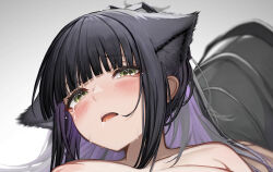 Rule 34 | 1boy, 1girl, animal ear fluff, animal ears, areola slip, arknights, black hair, blunt bangs, blush, breasts, cat ears, completely nude, doctor (arknights), green eyes, heart, heart in eye, hetero, highres, implied sex, jessica (arknights), jessica the liberated (arknights), large breasts, male doctor (arknights), mask, multicolored hair, nude, open mouth, out-of-frame censoring, purple hair, saliva, solo focus, symbol in eye, tab head, tearing up, tears, two-tone hair, upper body