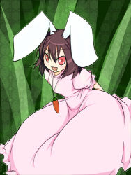 Rule 34 | 1girl, animal ears, bad id, bad pixiv id, rabbit ears, carrot, dress, female focus, inaba tewi, jewelry, lowres, open mouth, pendant, plant, red eyes, ryu-tan, ryutan, smile, solo, touhou