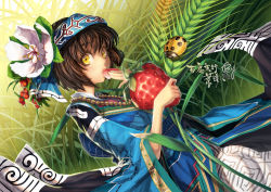 Rule 34 | 1girl, ainu, ainu clothes, b.c.n.y., brown hair, bug, collar, eating, flower, flower on head, food, food on head, fruit, fruit on head, grass, hair flower, hair ornament, headband, holding, holding food, holding fruit, bug, japanese clothes, ladybug, looking at viewer, object on head, original, petite, plant, short hair, solo, strawberry, traditional clothes, wide sleeves, yellow eyes