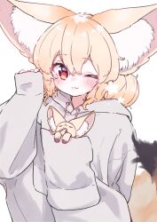Rule 34 | 1girl, animal, animal ear fluff, animal ears, arms up, blonde hair, blush, closed mouth, commentary request, creature and personification, drawstring, fennec fox, fox ears, fox girl, fox tail, hair between eyes, highres, holding, holding animal, large ears, long sleeves, looking at viewer, megateru, one eye closed, original, parted lips, puffy long sleeves, puffy sleeves, red eyes, simple background, sleeping animal, sleeves past fingers, sleeves past wrists, solo, tail, upper body, white background