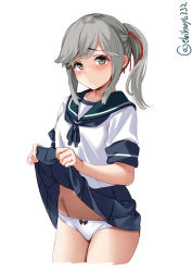 Rule 34 | 1girl, blue sailor collar, blue skirt, blush, breasts, brown eyes, clothes lift, cowboy shot, ebifurya, grey hair, hair ornament, hair ribbon, highres, kantai collection, lifted by self, long hair, looking at viewer, neckerchief, pleated skirt, ponytail, red ribbon, ribbon, sailor collar, school uniform, serafuku, shirt, short sleeves, simple background, skirt, skirt lift, small breasts, solo, usugumo (kancolle), white background, white shirt